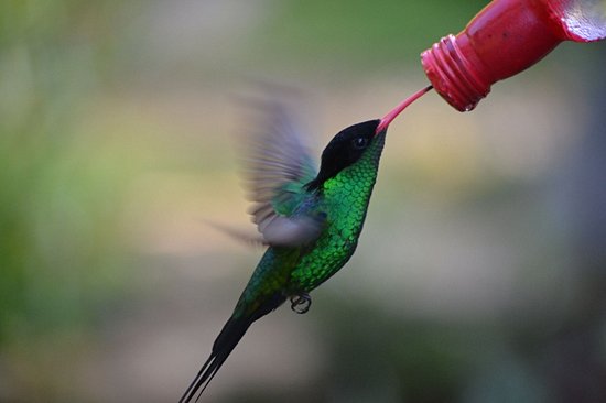 Rocklands Bird Sanctuary