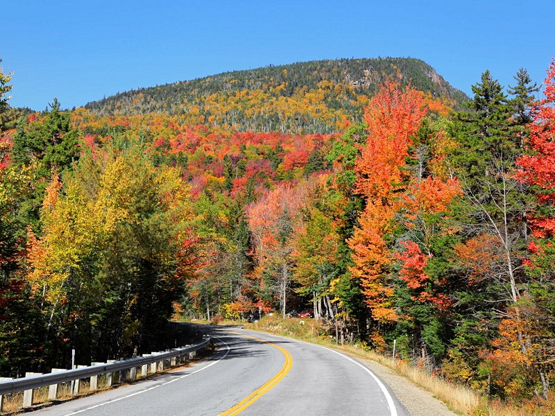 White Mountains national forest