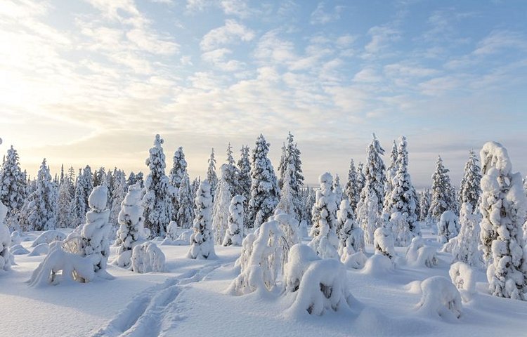 Le parc national du Riisitunturi