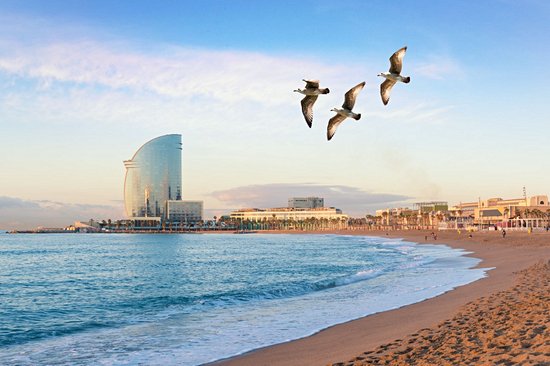 Plage de la Barceloneta