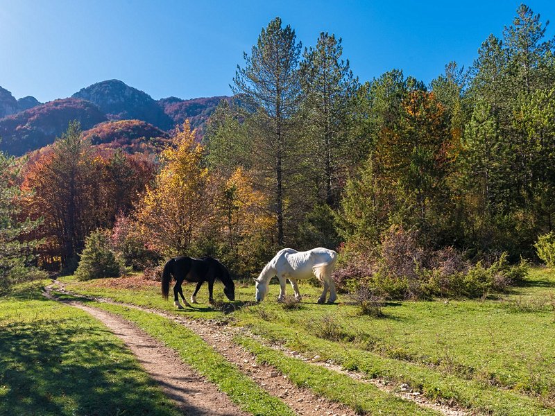 Parc national des Abruzzes, du Latium et du Molise