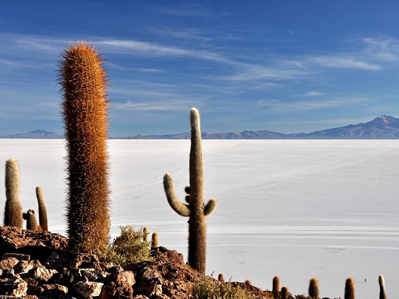 Salar d'Uyuni