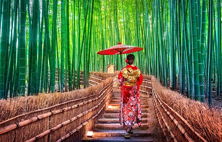 La forêt de bambous d'Arashiyama