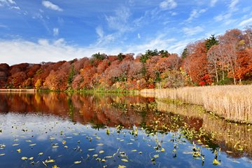 Parc national de Towada-Hachimantai