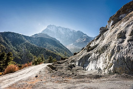 Trek dans les Annapurnas