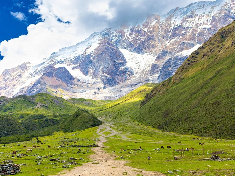 Salkantay Trek