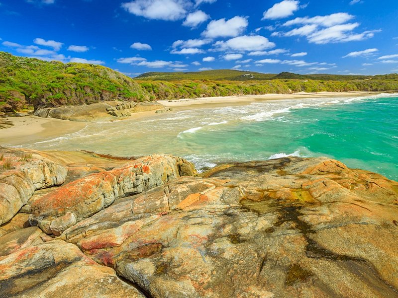 Waterfall Beach (Albany)