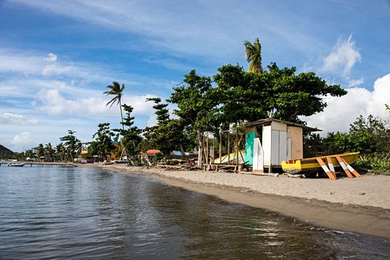 Purple beach