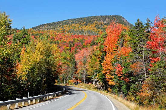 White Mountains national forest