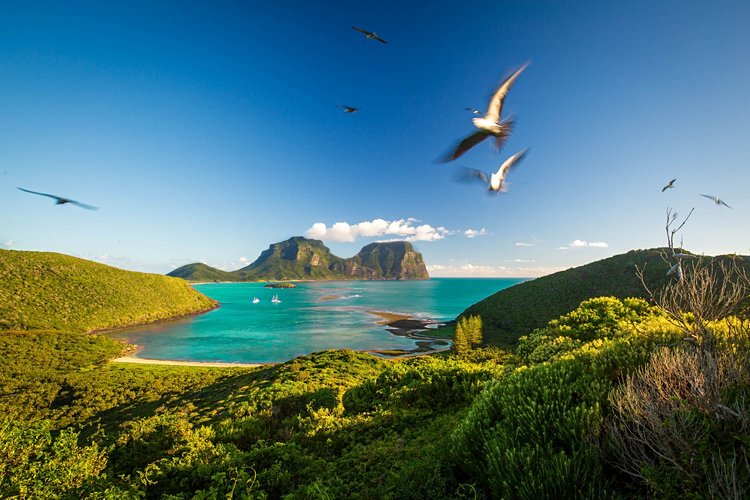 Lord Howe - Australie