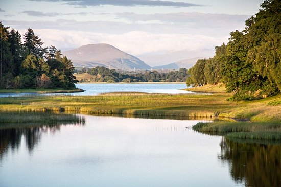 Cairngorms