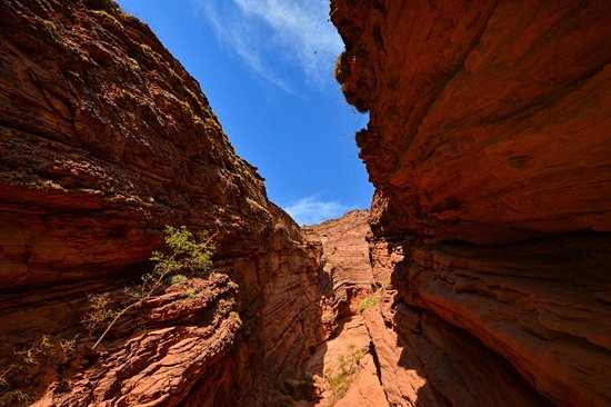 Quebrada de las Conchas