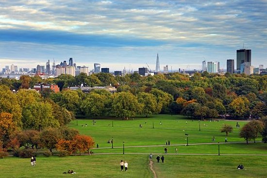 Observer le coucher de soleil à Primrose Hill