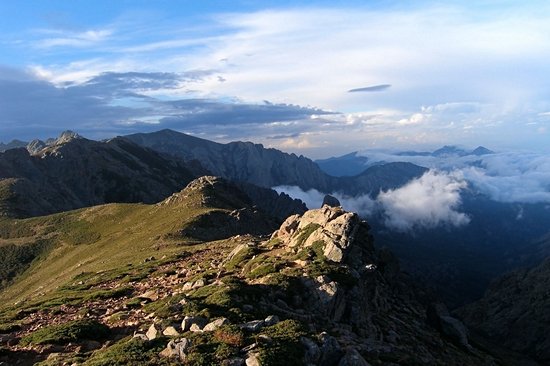 GR20