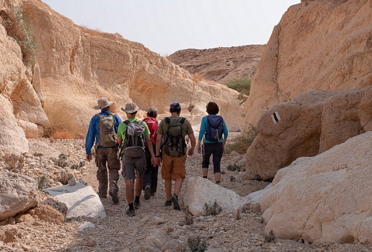 L'asséchée : Chemin Zafit