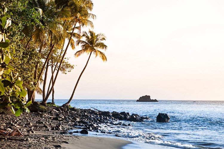 La plage d’Anse Couleuvre 3