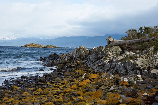 Île Navarino