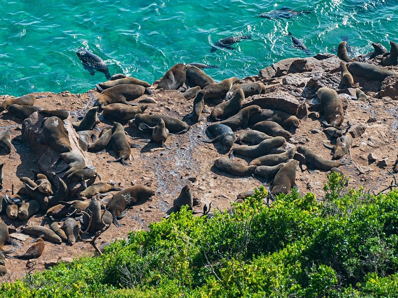 Robberg Nature Reserve