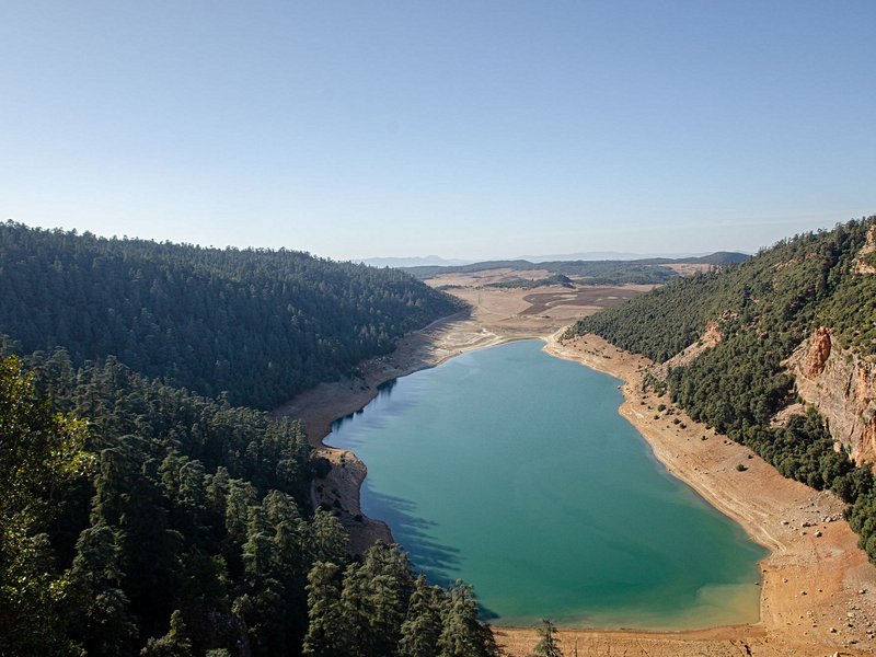 Parc national d'Ifrane