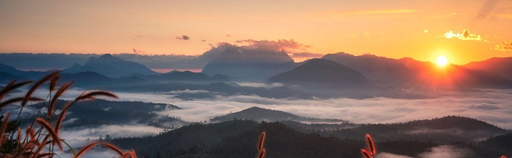 Ascension du Doi Luang à Chiang Dao