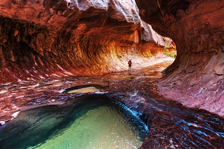 Zion 3