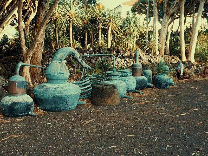 Museu do Vinho