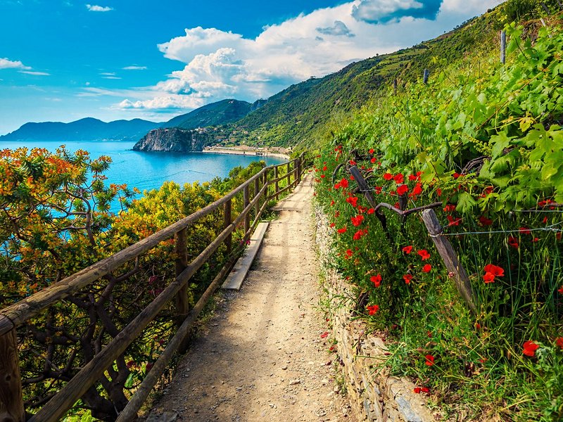 Manarola
