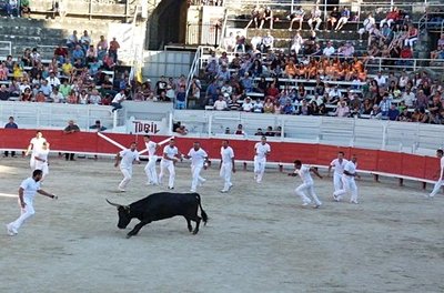 Course camarguaise à Arlès