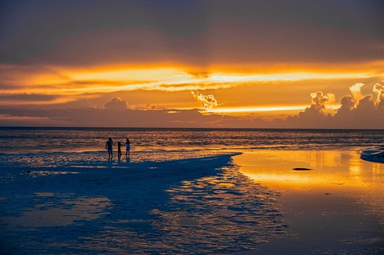 Profiter des plages de Holbox
