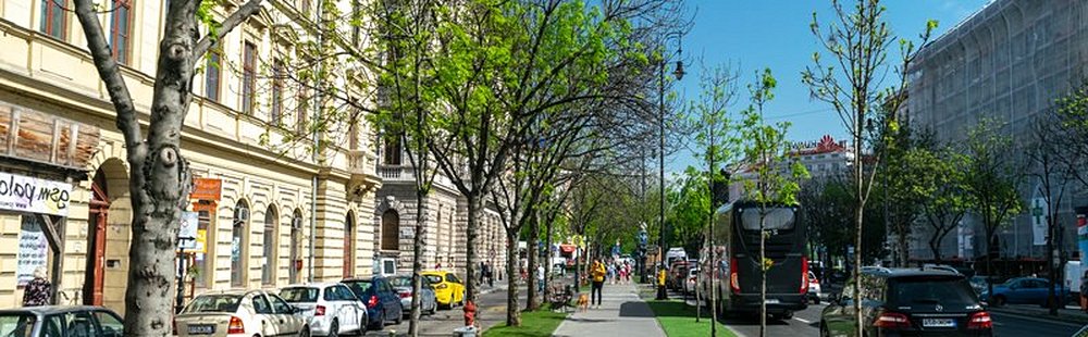 Pest - Terézváros (6ème arrondissement)