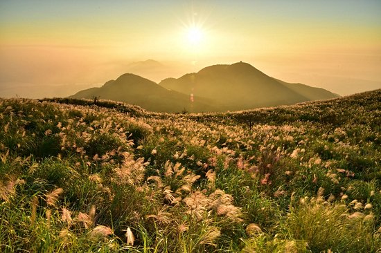 Parc national de Yangmingshan