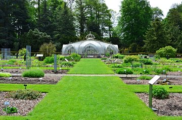 Jardin botanique de Meise