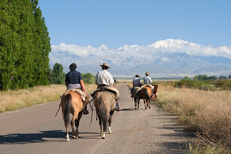 Route des vins à Mendoza - Argentine