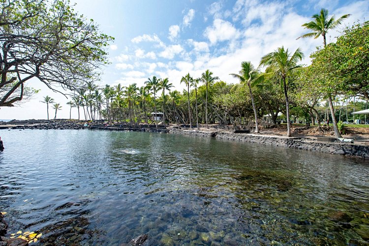 Les sources d’eau chaude de Ahalanui Park 2