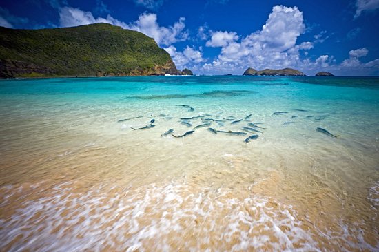 Île Lord Howe