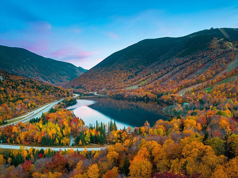 White Mountains national forest