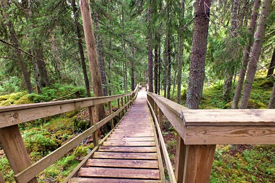 Parc national de Nuuksio