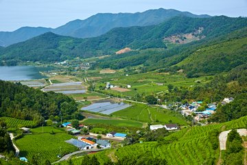 District de Boseong