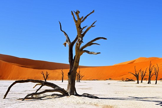 Désert de Sossusvlei
