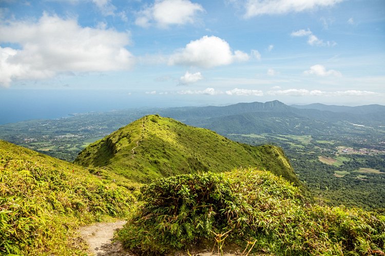 La Montagne Pelée 3