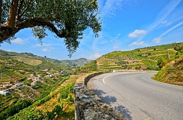 Découvrir la route des vins du Douro
