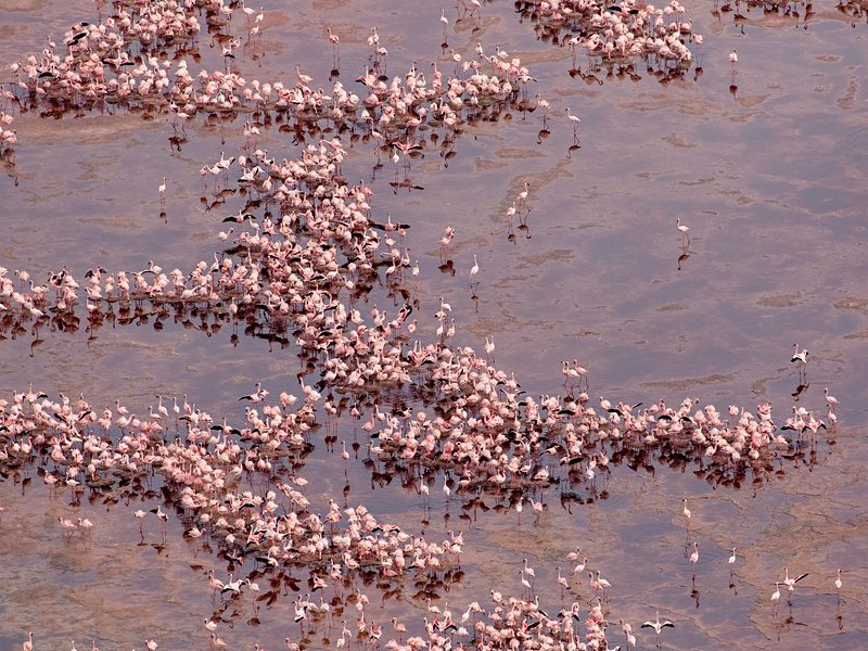 Le lac Natron