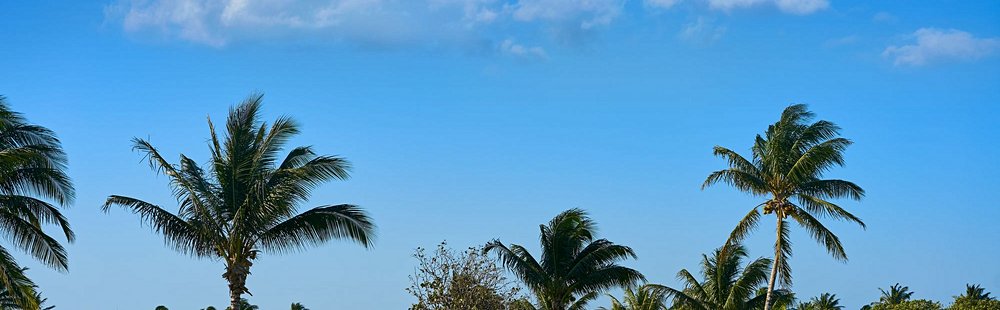 Faire une partie de golf sur la Riviera Maya

