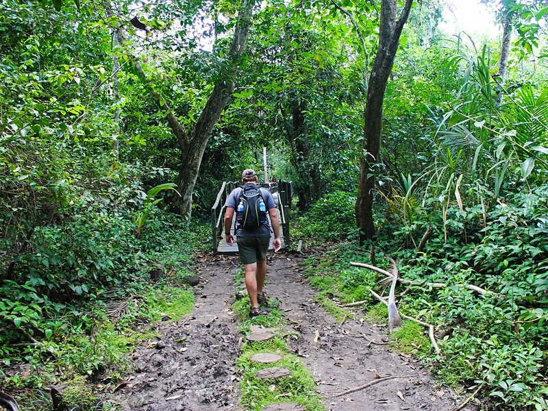 Le Parque Nacional Cahuita