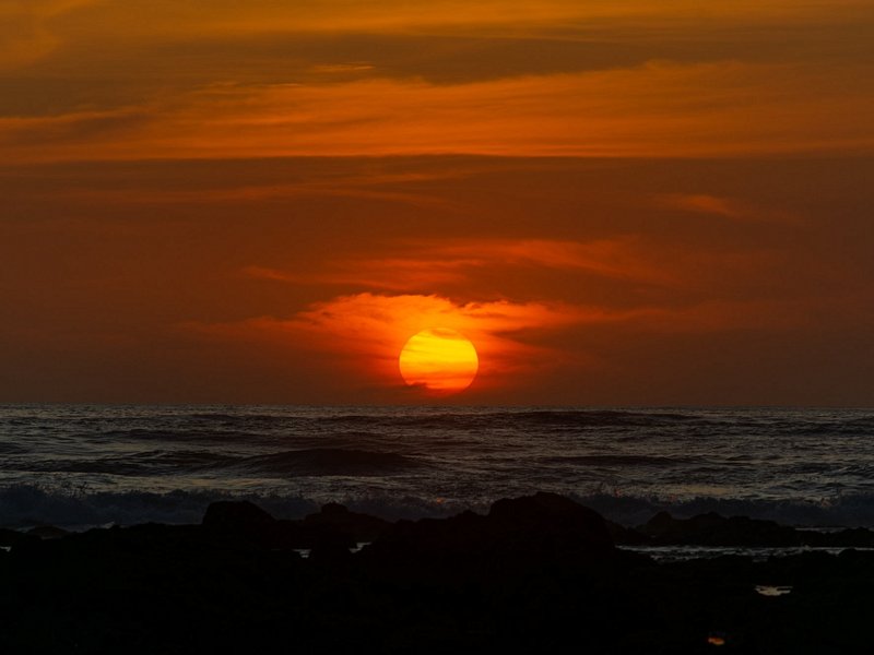 L’entraineuse : Playa Avellana