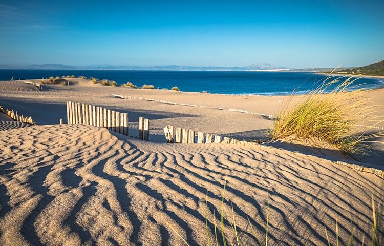 Les dunes de la plage de Paloma