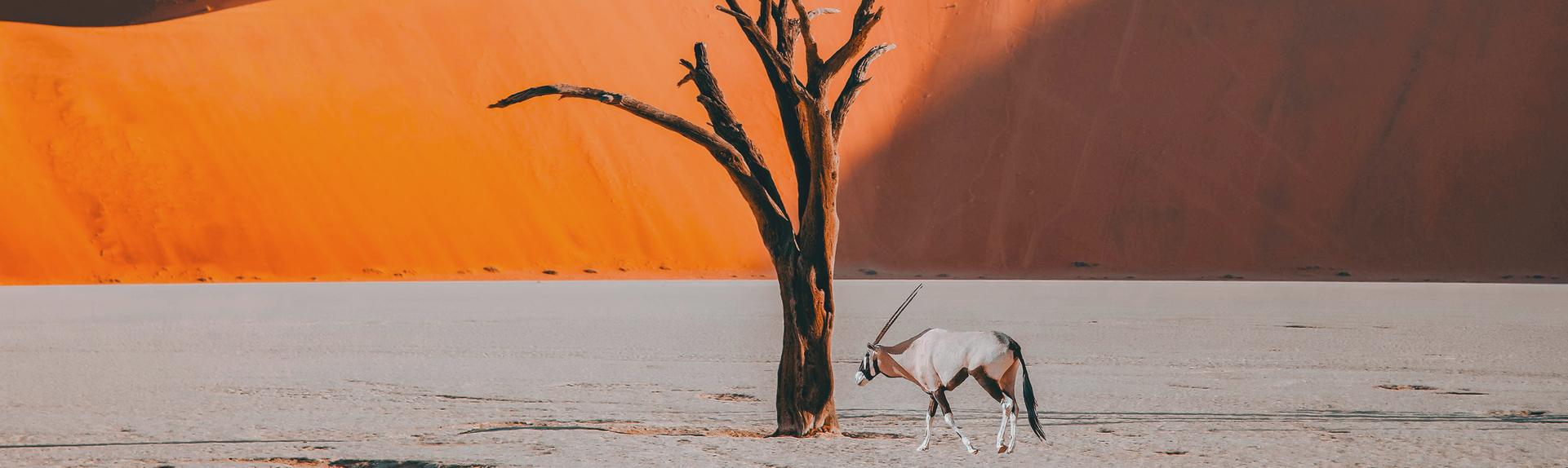 Namibie