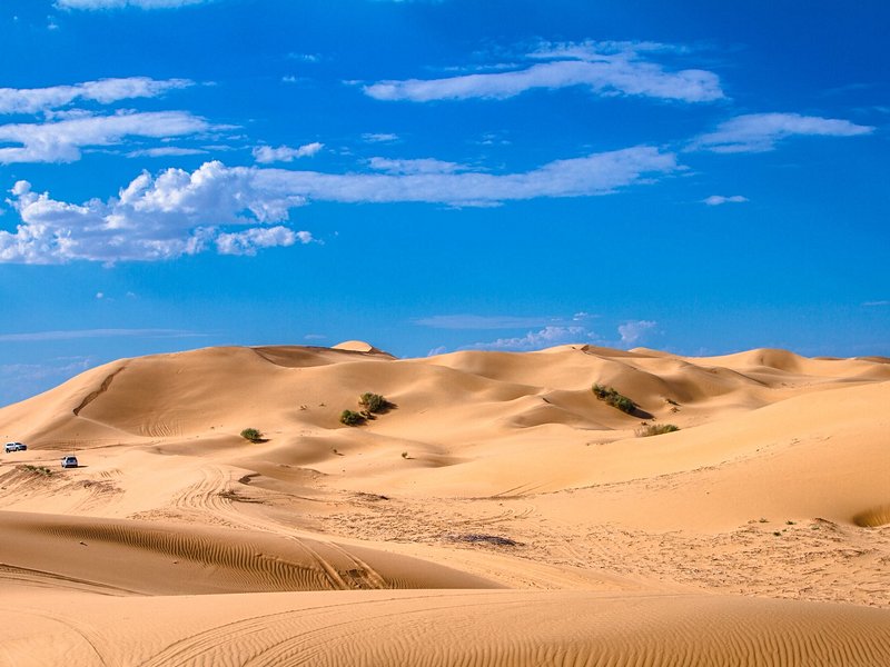 Désert de Gobi
