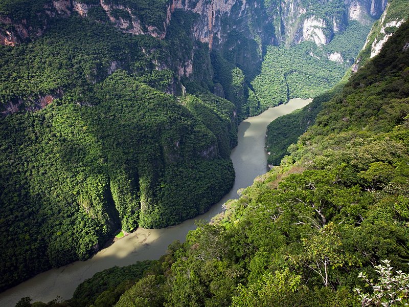 Tuxtla Guttierrez