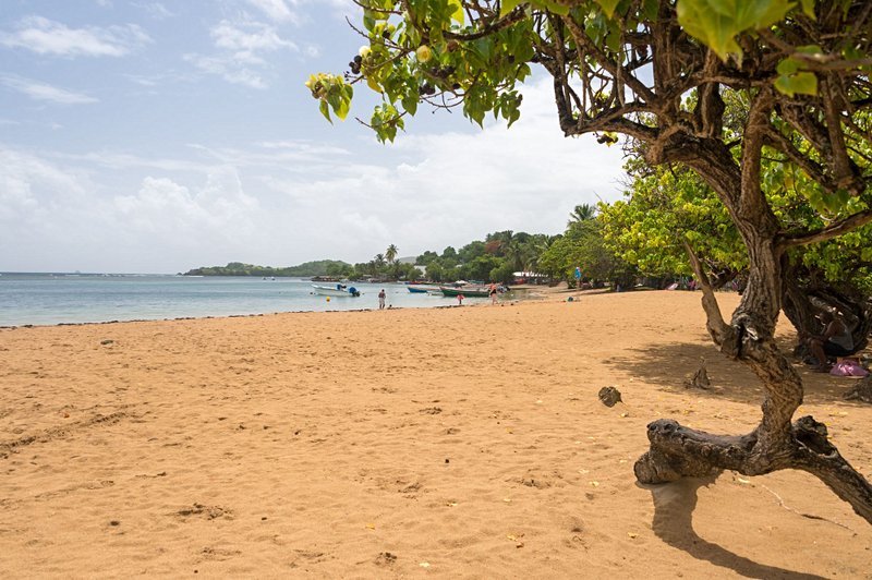 plage Les plages de la Presqu’île de la Caravelle